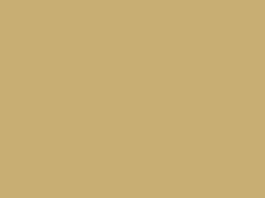 Farbe Sandgelb RAL1002 1L Image 2