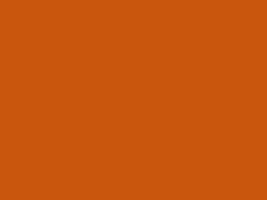 Farbe Verkehrsorange RAL2009 400ml Image 2