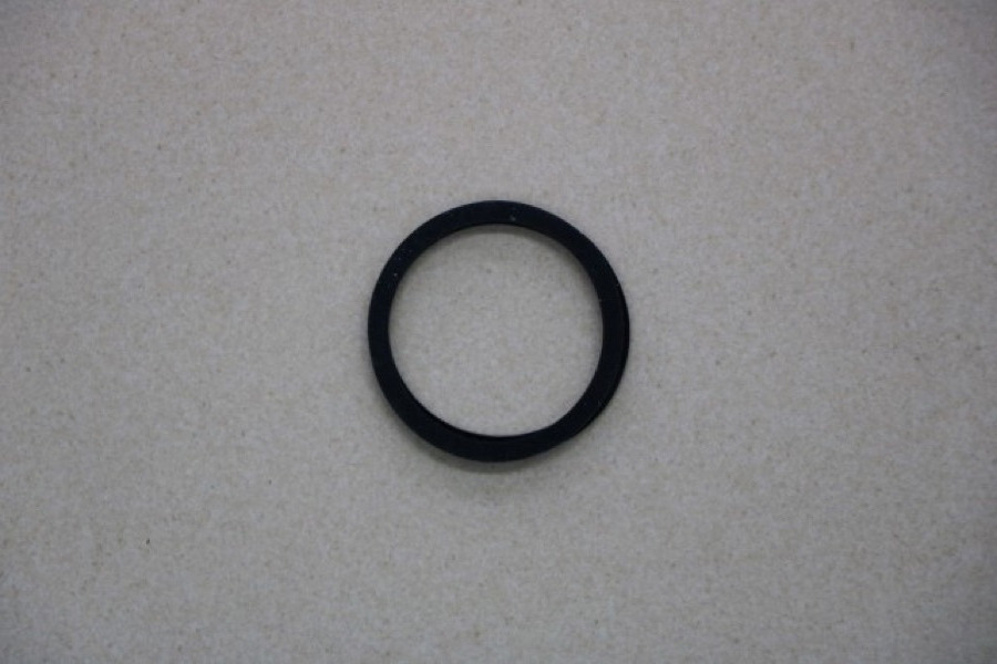 Dichtung Thermostat Steyr 190