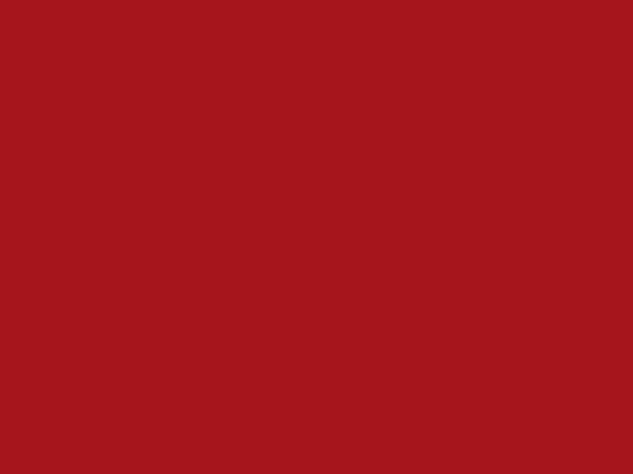 Farbe Superrot RAL3330 400ml Bild 2
