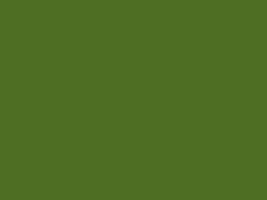 Farbe Grasgrün RAL6010 1L Bild 2