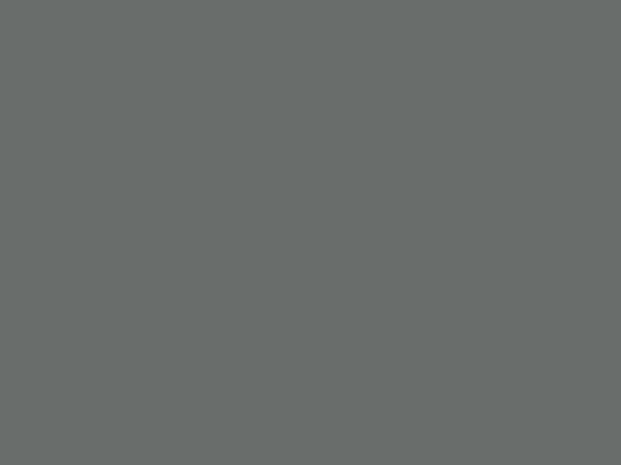 Farbe Mausgrau RAL7005 400ml Bild 2