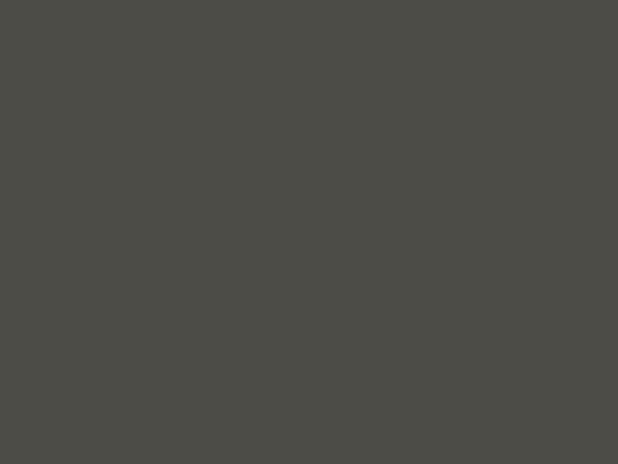 Farbe Umbragrau RAL7022 400ml Image 2