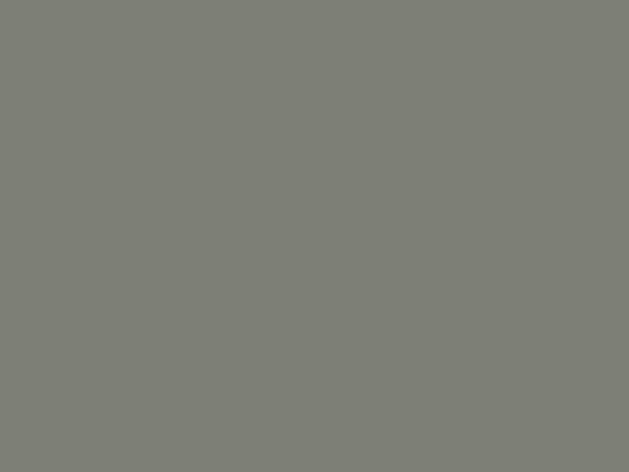Farbe Betongrau RAL7023 400ml Bild 2