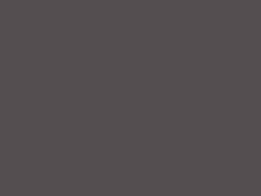 Farbe Steingrau RAL7235 400ml Image 2