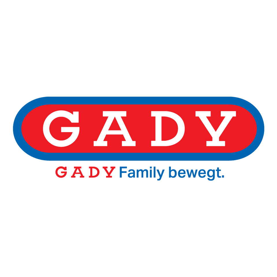 Kotflügelset Steyr T180 im Oldtimer Traktor Ersatzteile Shop online kaufen